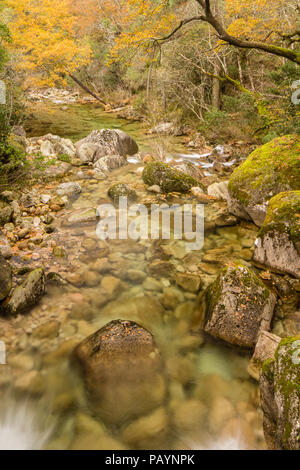 Fiume Homen cascate e. Mata da Albergaria, Geres su Geira Romana Foto Stock