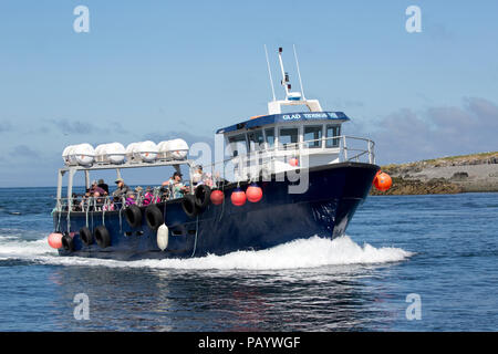 Farne isola barca passnger lieto annunzio VIII traversata a farne le isole Northumberland REGNO UNITO Foto Stock