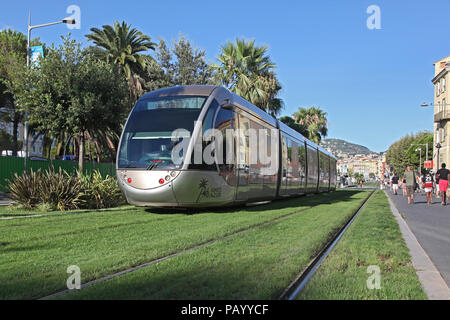 Nizza - Tram sull'erba Foto Stock