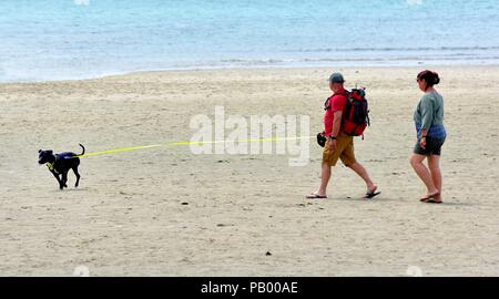 Un giovane a piedi il loro cane in una spiaggia tramite un innesto retraibile piombo, guinzaglio,Marazion,cornwall, England, Regno Unito Foto Stock