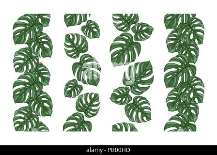 Monstera seamless divisore di confine set o raccolta di decorativo verticale ornamento di ripetizione Illustrazione Vettoriale