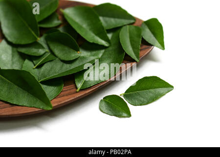 Foglie di curry in il cucchiaio di legno Foto Stock