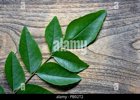 Foglie di curry su una superficie di legno Foto Stock