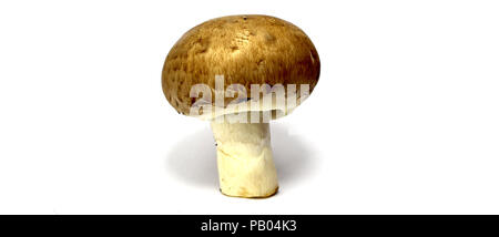 Freschi champignon rosolare molto bene i colori isolati su sfondo bianco Foto Stock