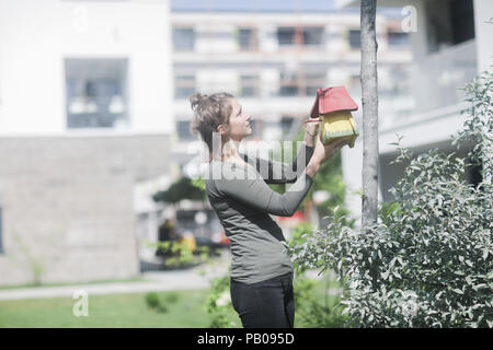 Donna appendere un birdhouse su un albero nel giardino Foto Stock