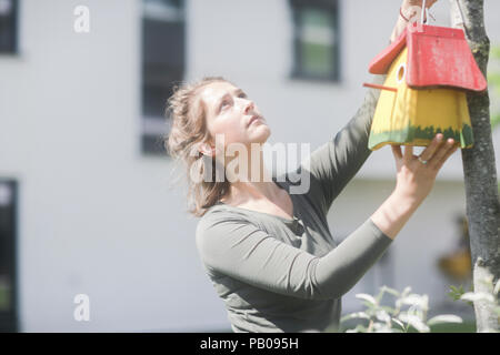 Donna appendere un birdhouse su un albero nel giardino Foto Stock