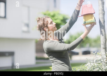 Donna appendere un birdhouse su un albero nel giardino Foto Stock