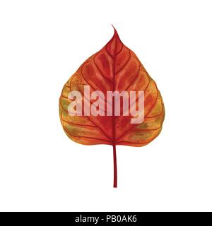 Disegnato a mano foglia acquerello isolati su sfondo bianco, pittura digitale, vettore Illustrazione Vettoriale