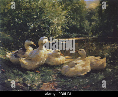 Koester Alexander - Enten Am Teich 1 Foto Stock