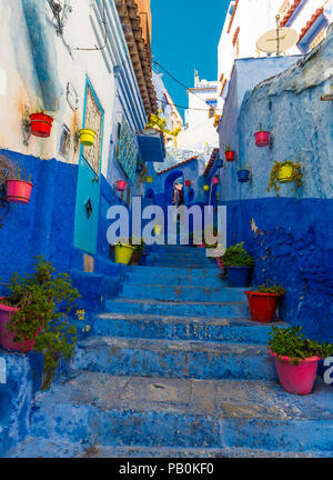 Vicolo stretto con i vasi da fiori colorati, case blu, Medina di Chefchaouen, Chaouen, Tangier-Tétouan, Marocco Foto Stock