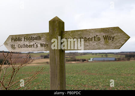 Cartello su St Cuthbert's Way, un sentiero di campagna di Northumberland, Inghilterra. Il sentiero attraversa la Cheviot Hills. Foto Stock