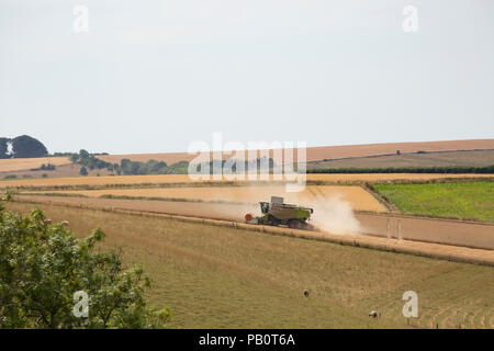 Una mietitrebbia al lavoro durante il regno unito 2018 ondata di caldo nel Wiltshire, Inghilterra UK GB Foto Stock