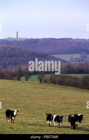 Febbraio 1999: inverno vista verso il monumento Tynedale sul bordo del Cotswold Hills scarpata vicino a Wotton Under Edge, Gloucesteshire, UK. Foto Stock