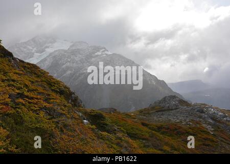 Glaciar El Tigre, Villa Ohiggins, Patagonia, Cile Foto Stock