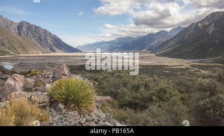 Tasman Valley, Nuova Zelanda Foto Stock