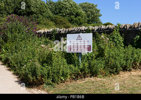 Cartello di avvertimento per i pedoni attenzione il traffico in avvicinamento nonché per tenere i bambini sotto controllo & cani su fili, Swanage, Dorset, Regno Unito Foto Stock