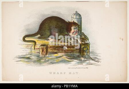 Wharf Rat, dal fumetto Storia naturale della razza umana. Artista: Henry Louis Stephens (American, Philadelphia, Pennsylvania 1824-1882 Bayonne, New Jersey). Dimensioni: foglio: 7 1/16 x 11 in. (18 x 27,9 cm). Litografo: Litografato da Rosenthal (Philadelphia, Pennsylvania). Editore: Samuel Robinson (Philadelphia, Pennsylvania). Data: 1851. Museo: Metropolitan Museum of Art di New York, Stati Uniti d'America. Foto Stock