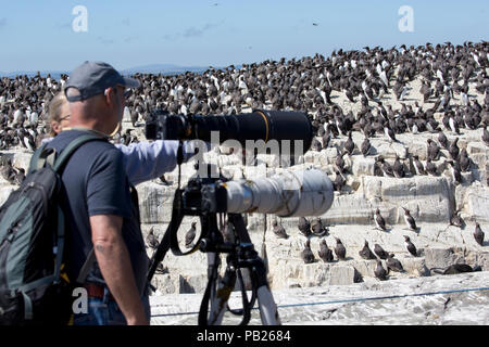 Due persone teleobiettivi cavalletti fotografare gli uccelli farne Islands Northumberland REGNO UNITO Foto Stock