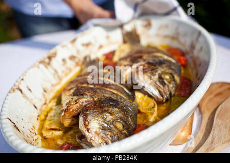 Cotto pesci di acqua dolce con verdure, orizzontale, vibrante, tenuto in mano la piastra Foto Stock