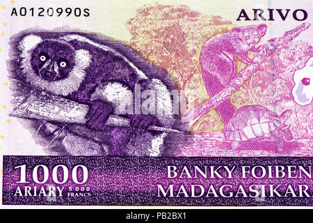 1000' ariary malgascio nota banca del Madagascar. Ariary malgascio è la valuta nazionale del Madagascar Foto Stock