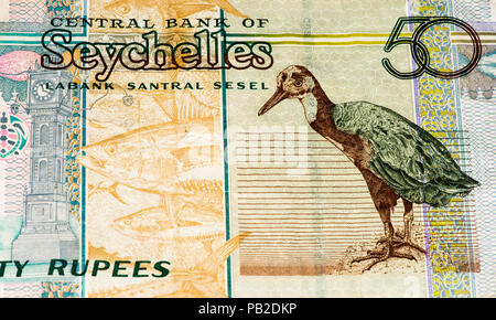 50 Rupia delle Seychelles banconota in moneta nazionale delle Seychelles Foto Stock