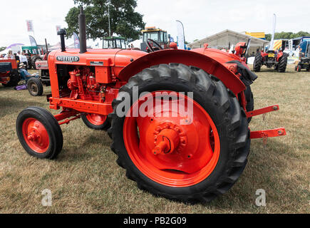 Vintage Trattori Agricoli sul display a Nantwich mostra su una bella giornata di sole nel Cheshire England Regno Unito Regno Unito Foto Stock