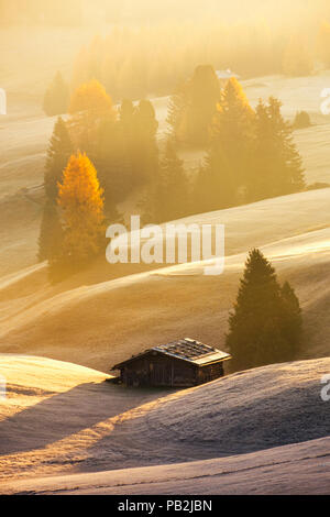 Misty panorama in Alpe di Siusi o Alpe di Siusi alla bellissima alba, di montagna delle Dolomiti, Italia Foto Stock