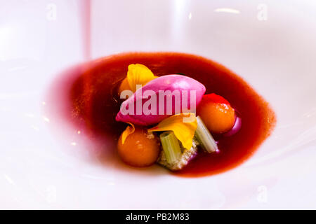 Piatto di Laszlo Papdi dell'Hotel Lenkerhof, Lenk, Svizzera. Zuppa di crema di pomodoro ghiacciata con cannellini, pasta di fagioli, melone siciliano, finocchio per bambini e gelato all'aceto di vino rosso Foto Stock