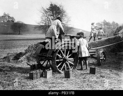 Fotografia ufficiale che mostra le contadine (ragazze di terra) che producono fieno Foto Stock