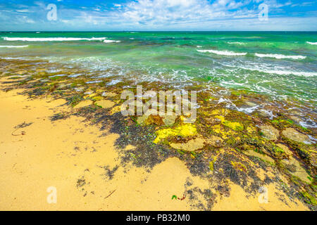 Paesaggio della piscina Mettams un calcare bay sicuro per lo snorkeling. Trigg Beach in spiaggia Nord vicino a Perth, Western Australia. Mettam's è una roccia naturale piscina protetta da un circostante barriera corallina. Foto Stock