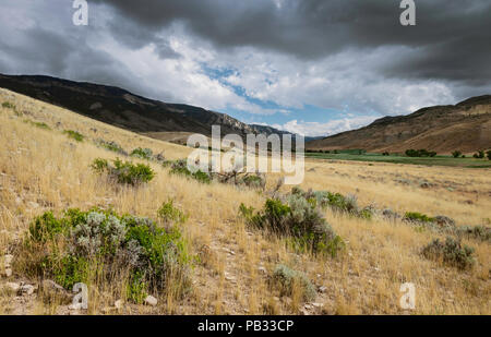 Le praterie aride con sagebrush, secco prati e montagne rocciose e scorcio di verde su un luminoso giorno soleggiato vicino a Cody, Wyomi Foto Stock