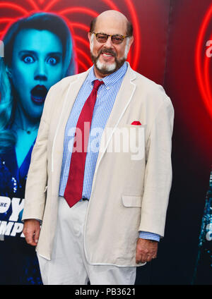 Fred MelamedA assiste la premiere del Lionsgate 'La spia che mi dumping' al Fox Village teatro sulla luglio 25, 2018 a Los Angeles, California Foto Stock