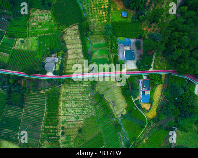 Chengdu Chengdu, in Cina. 26 Luglio, 2018. Chengdu, Cina-fotografia aerea di piantagione di tè a Chengdu, Cina sud-occidentale della provincia di Sichuan. Credito: SIPA Asia/ZUMA filo/Alamy Live News Foto Stock