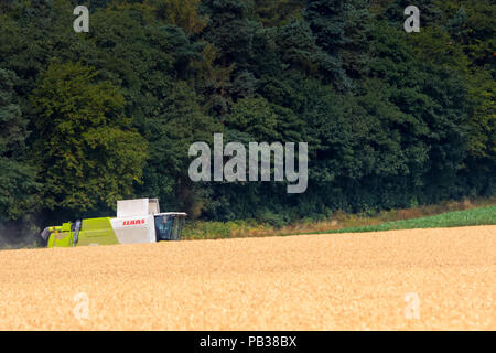 Edwinstowe, Nottinghamshire, Regno Unito. Xxv Luglio 2018, Nottinghamshire agricoltore la raccolta di cereali. Il raccolto del Regno Unito è ben al di sotto del titolo a partire fino a due settimane prima rispetto a quello normale e molti allevatori del Regno Unito si aspettano di riduzione delle rese di cereali a causa del prolungato asciutto e caldo. Credito: Mark fecce/Alamy Live News Foto Stock