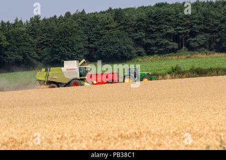 Edwinstowe, Nottinghamshire, Regno Unito. Xxv Luglio 2018, Nottinghamshire agricoltore la raccolta di cereali. Il raccolto del Regno Unito è ben al di sotto del titolo a partire fino a due settimane prima rispetto a quello normale e molti allevatori del Regno Unito si aspettano di riduzione delle rese di cereali a causa del prolungato asciutto e caldo. Credito: Mark fecce/Alamy Live News Foto Stock