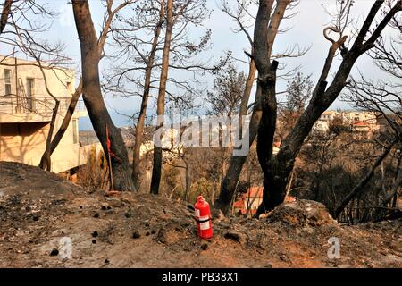 Atene, Grecia. Xxv Luglio, 2018. Bruciato alberi da foresta incendi.Le conseguenze della distruzione dagli incendi boschivi in mati e Neos Voutsas regioni di Attiki con più di 80 morti e un inimmaginabile distruzione di proprietà. Credito: Helen Paroglou SOPA/images/ZUMA filo/Alamy Live News Foto Stock