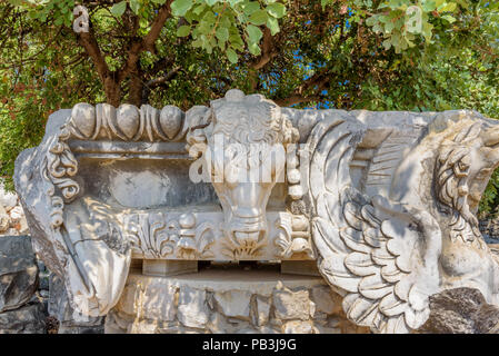 Testa di pietra di Bull al Tempio di Apollo a area archeologica di Didim, Didyma, Aydin Provincia, la Turchia, l'Europa. Foto Stock