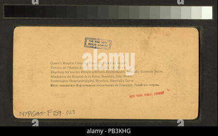 1239 Queen's Hospital motivi, Honolulu, Hawaii (NYPL B11707436-G90F159 028B) Foto Stock