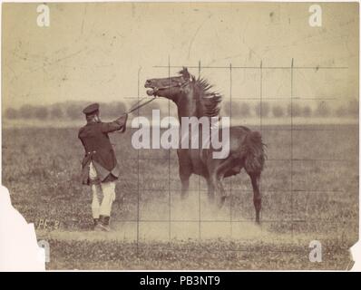 Cavallo. Artista: Ottomar Anschütz (tedesco, Lissa (Leszno, Polonia) 1846-1907 Berlin). Data: 1884. Nell ultimo quarto del XIX secolo, i fotografi e gli scienziati si sono interessati in azione di arresto su pellicola. I loro studi hanno rivelato il movimento al di là di ciò che l'occhio umano può vedere. Uno dei più esperti innovatori nel campo è stata Ottomar Anschütz, la cui fotografie dettagliate di Locomozione animale catturato l'attenzione del governo tedesco. Commissionato dal ministero della guerra, Anschütz registrati i cavalli e i loro cavalieri alla elite Istituto Militare di Hannover. Questa fotografia di soldi Foto Stock