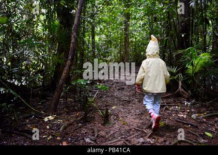 Un bambino a piedi attraverso una foresta pluviale via a Millaa Millaa falls, altopiano di Atherton, QLD, Australia Foto Stock