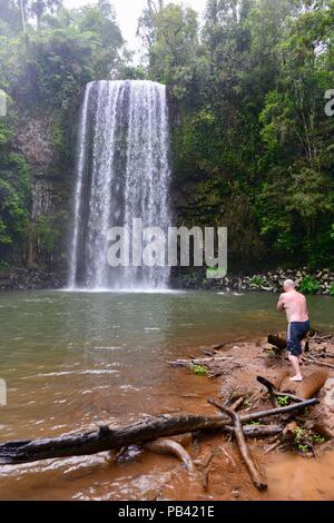 I turisti nuotare a Millaa Millaa falls, altopiano di Atherton, QLD, Australia Foto Stock