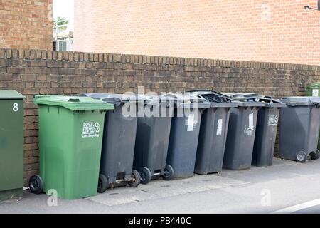 La linea di rifiuti e cassonetti per il riciclaggio su una strada in East Sussex, Regno Unito Foto Stock