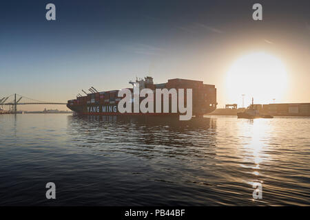 Il Gigante Yang Ming nave portacontainer, YM unanimità, entra nel Los Angeles canale principale, legato al Porto di Los Angeles, California, USA. Foto Stock