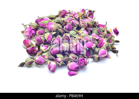 Rosa appassita gemme isolato su bianco Foto Stock
