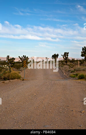 UT00485-00...Utah - La porta intorno al Woodbury Deserto area di studio in Beaver Dam lavare National Conservation Area sul bordo del Mojave Desert. Foto Stock