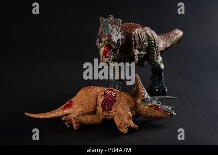 Tirannosauro con un corpo triceratops nelle vicinanze su sfondo scuro Foto Stock
