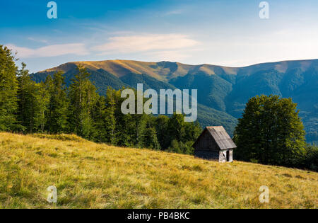 Allevamento sparso su di un pendio erboso vicino alla foresta. luogo abbandonato in montagna. incantevole paesaggio di pomeriggio Foto Stock