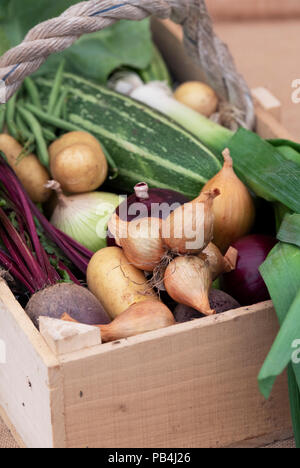 Display vegetale ad RHS Tatton Park flower show 2018. Cheshire, Regno Unito Foto Stock