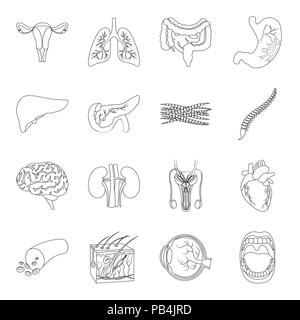 Anatomia,l'arte,boold,cervello,raccolta,design,malattia,eyeball,carne,,gastrointestinale la salute,cuore,uomo,icona,immagine,,interno isolato,rene,fegato,logo,polmoni,maschio, la medicina, bocca,muscolo,organo,contorno,pancreas,,riproduttiva impostare,segno,pelle,colonna vertebrale,stomaco,il simbolo,sistema,tratto,utero,vettore,nave,web, Vettori vettore , Illustrazione Vettoriale