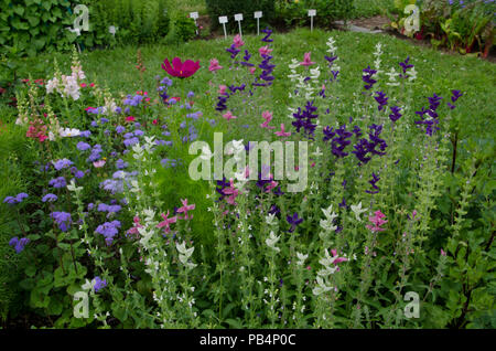 Fiori colorati in fiore in un giardino comunale in estate, Maine USA Foto Stock